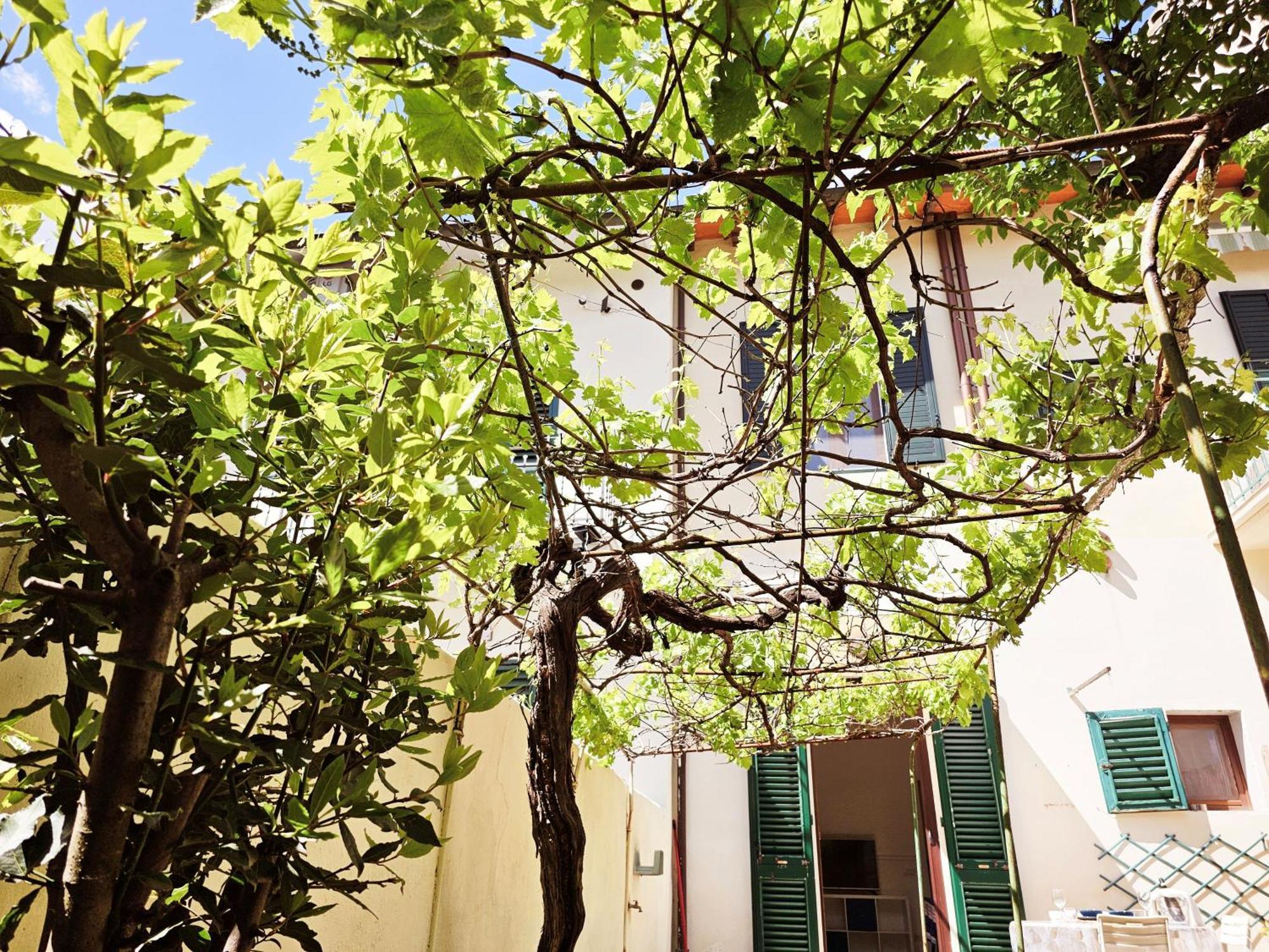 Alice'S Garden Διαμέρισμα Φλωρεντία Εξωτερικό φωτογραφία